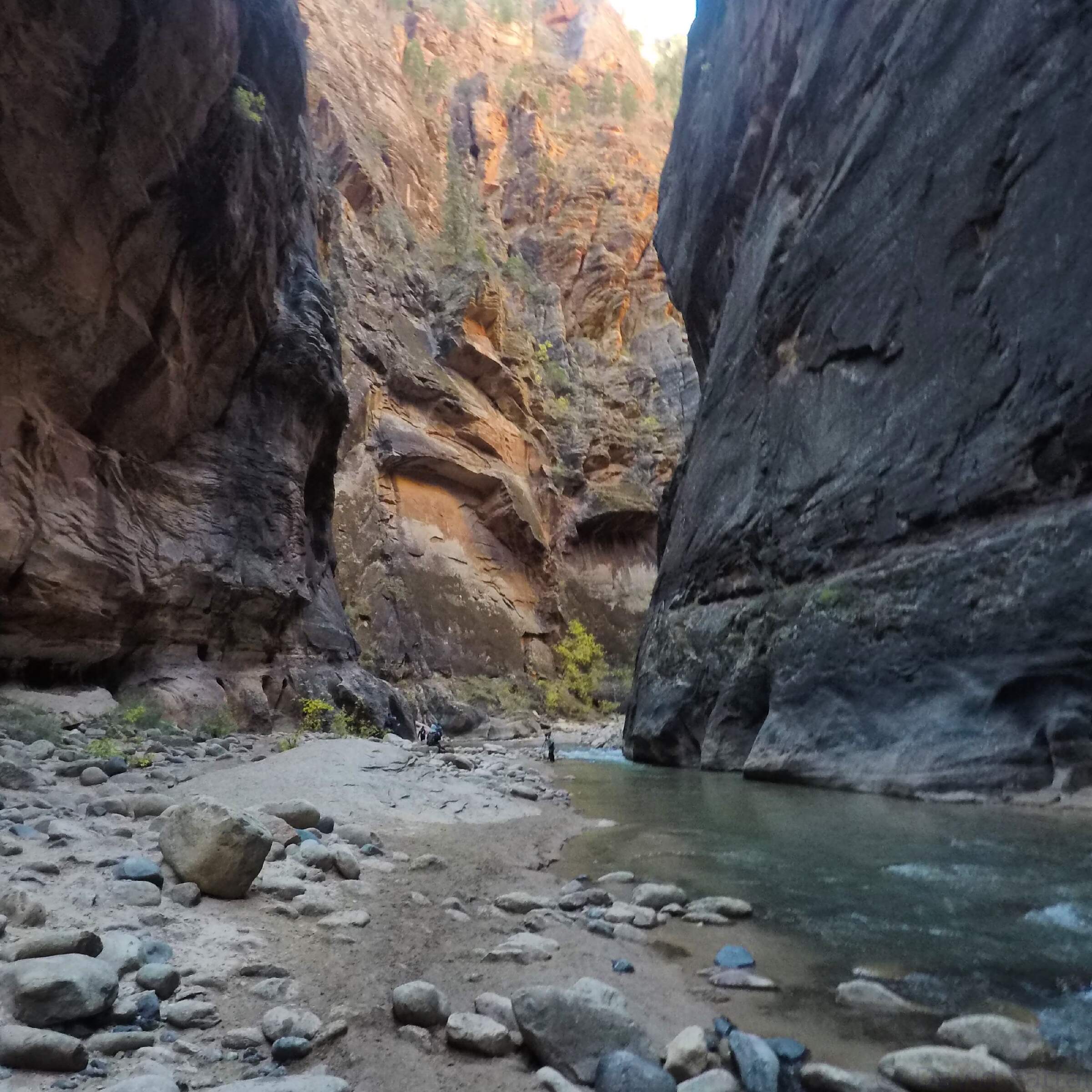 Zion National Park 2016
